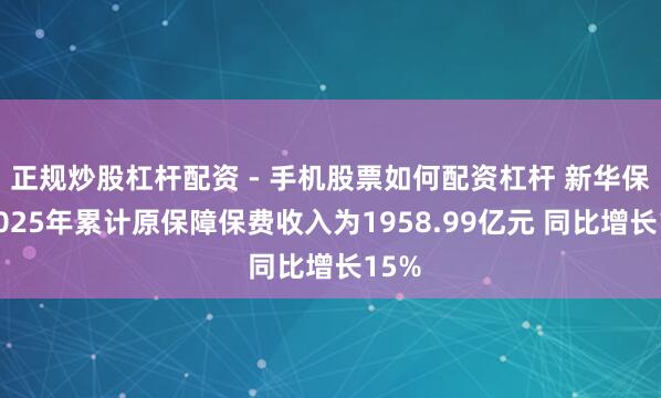 正规炒股杠杆配资 - 手机股票如何配资杠杆 新华保障2025年累计原保障保费收入为1958.99亿元 同比增长15%
