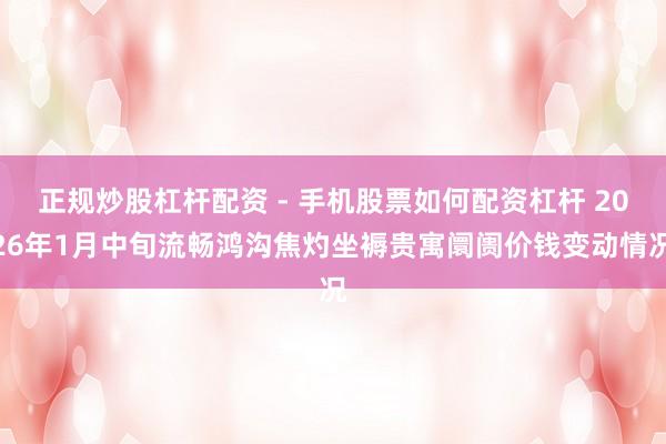 正规炒股杠杆配资 - 手机股票如何配资杠杆 2026年1月中旬流畅鸿沟焦灼坐褥贵寓阛阓价钱变动情况