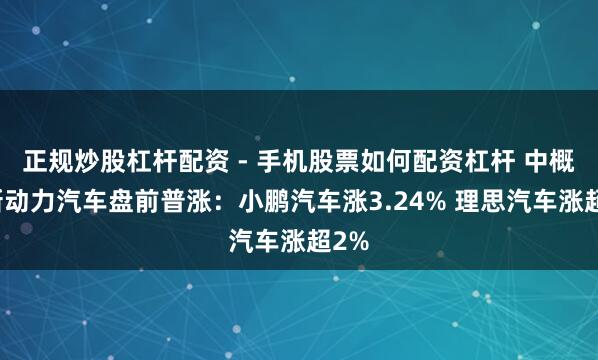 正规炒股杠杆配资 - 手机股票如何配资杠杆 中概股新动力汽车盘前普涨：小鹏汽车涨3.24% 理思汽车涨超2%